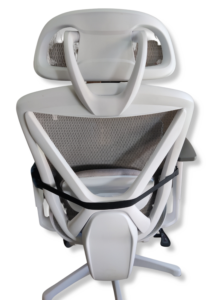 
                  
                    SunCloud® Coccyx Cushion Straps - Pelvic Pain Solutions
                  
                